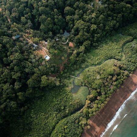 Natural Drake Bay Hotel Boutique Εξωτερικό φωτογραφία