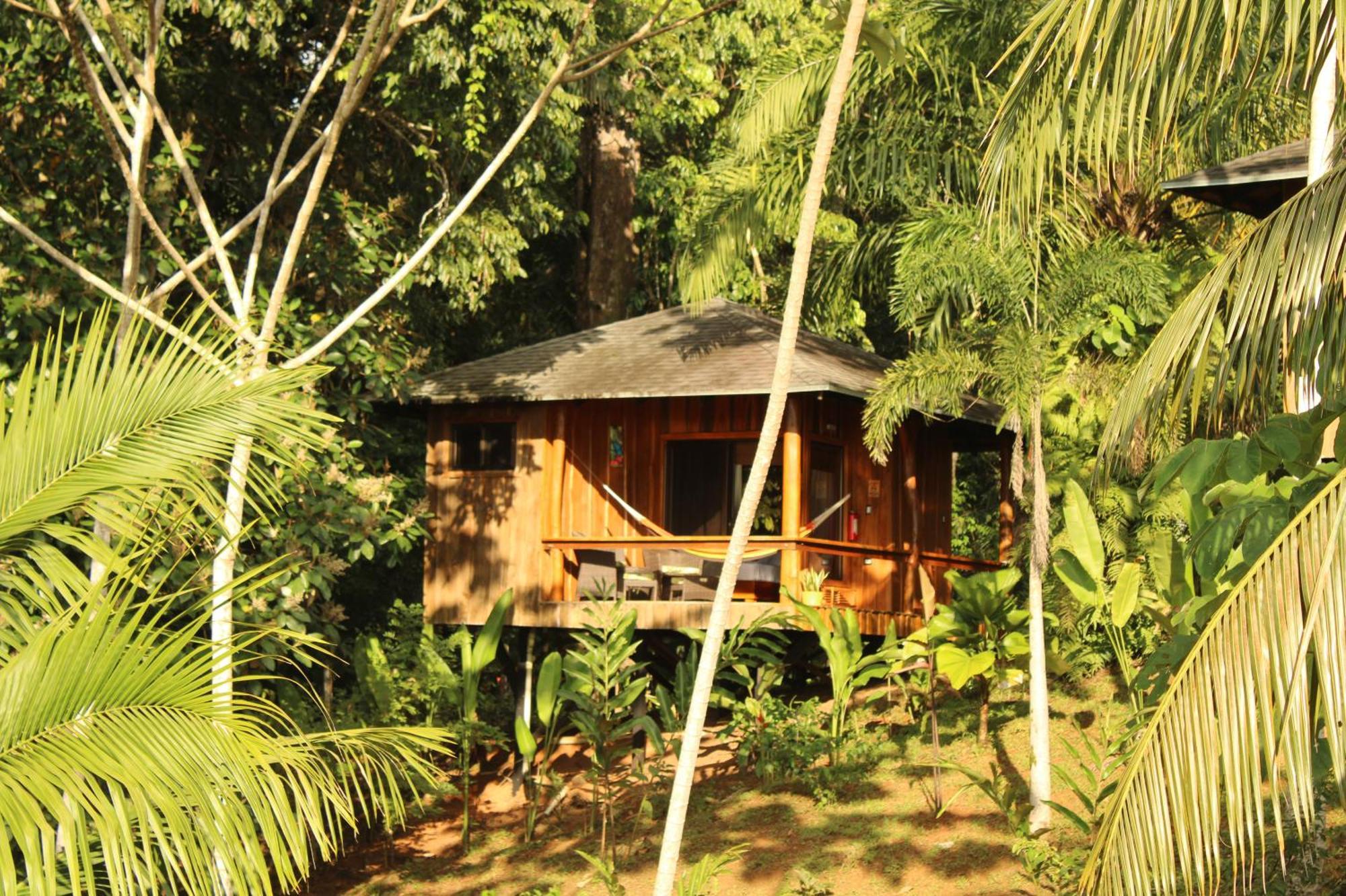 Natural Drake Bay Hotel Boutique Εξωτερικό φωτογραφία
